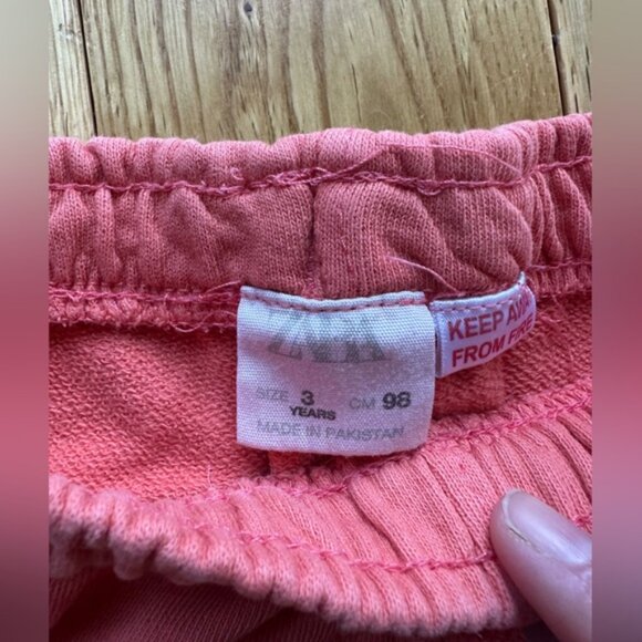 Tea Collection & Zara Toddler Boy Outfit 3T Olive Iguana Tshirt Orange Shorts - Picture 9 of 9